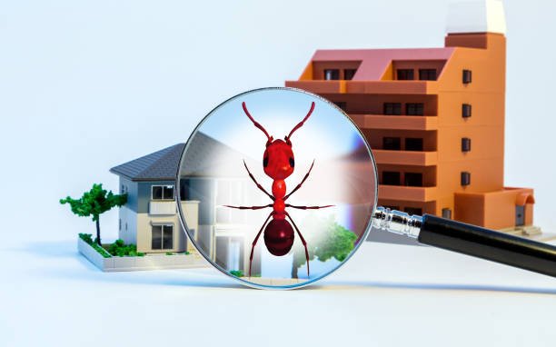 residence pest control