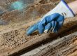 TERMITE TREATMENT COSTS AND PRICES IN BRISBANE