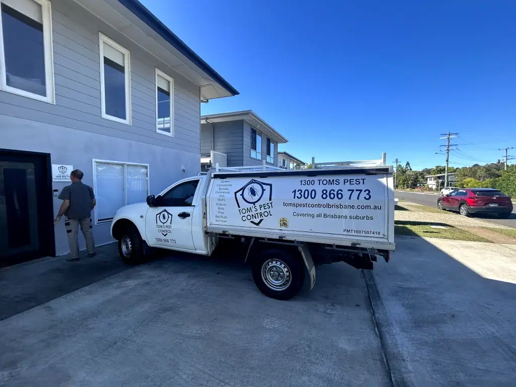 termite control Gold Coast